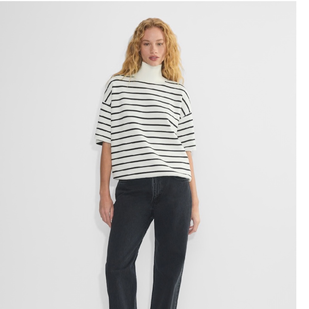Aritzia Babaton Advice Turtleneck Sweater
